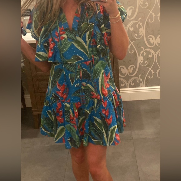 Farm Rio Dress - Picture 2 of 2